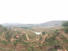 金龙山风景